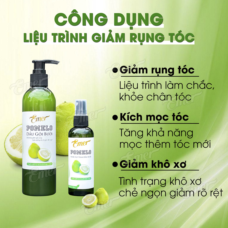 Thành phần bộ gội xịt tóc bưởi