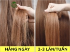 Tóc bị khô và chẻ ngọn có gây rụng tóc không?